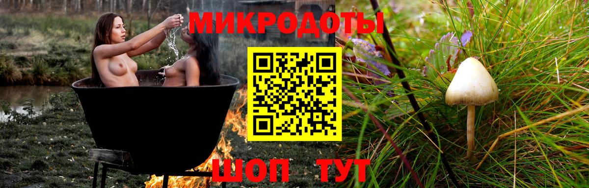 Галлюциногенные грибы GOLDEN TEACHER Новокуйбышевск