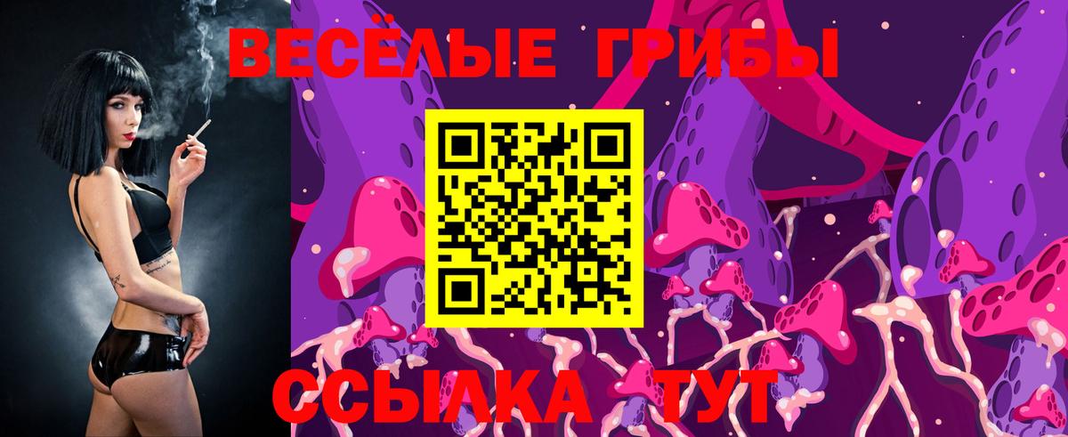 Галлюциногенные грибы мухоморы  Вход с VPN  Новокуйбышевск 