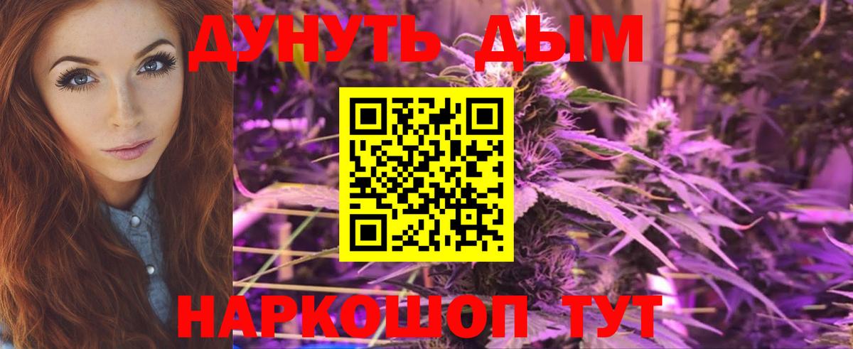 Марихуана семена Новокуйбышевск